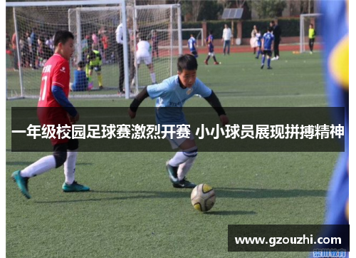 一年级校园足球赛激烈开赛 小小球员展现拼搏精神 一年级校园足球赛激烈开赛 小小球员展现拼搏精神