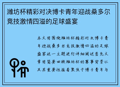 潍坊杯精彩对决博卡青年迎战桑多尔竞技激情四溢的足球盛宴